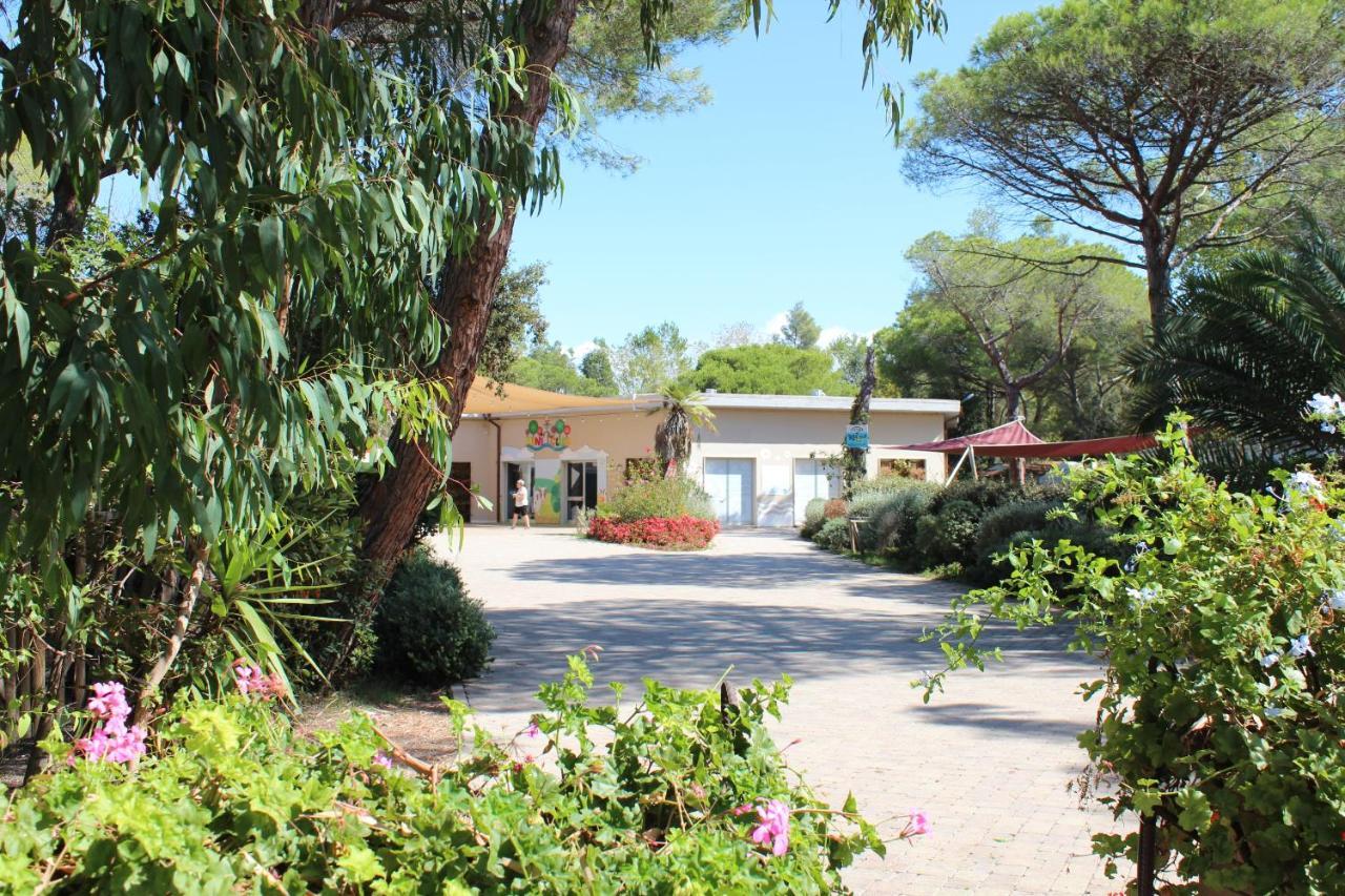 Camping Campo Dei Fiori - Glamping4All Vada Dış mekan fotoğraf